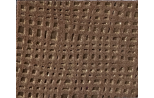 Network -PLASMON